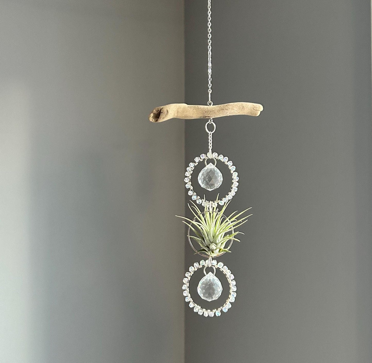 Driftwood & Air Plant Double Prism Suncatcher