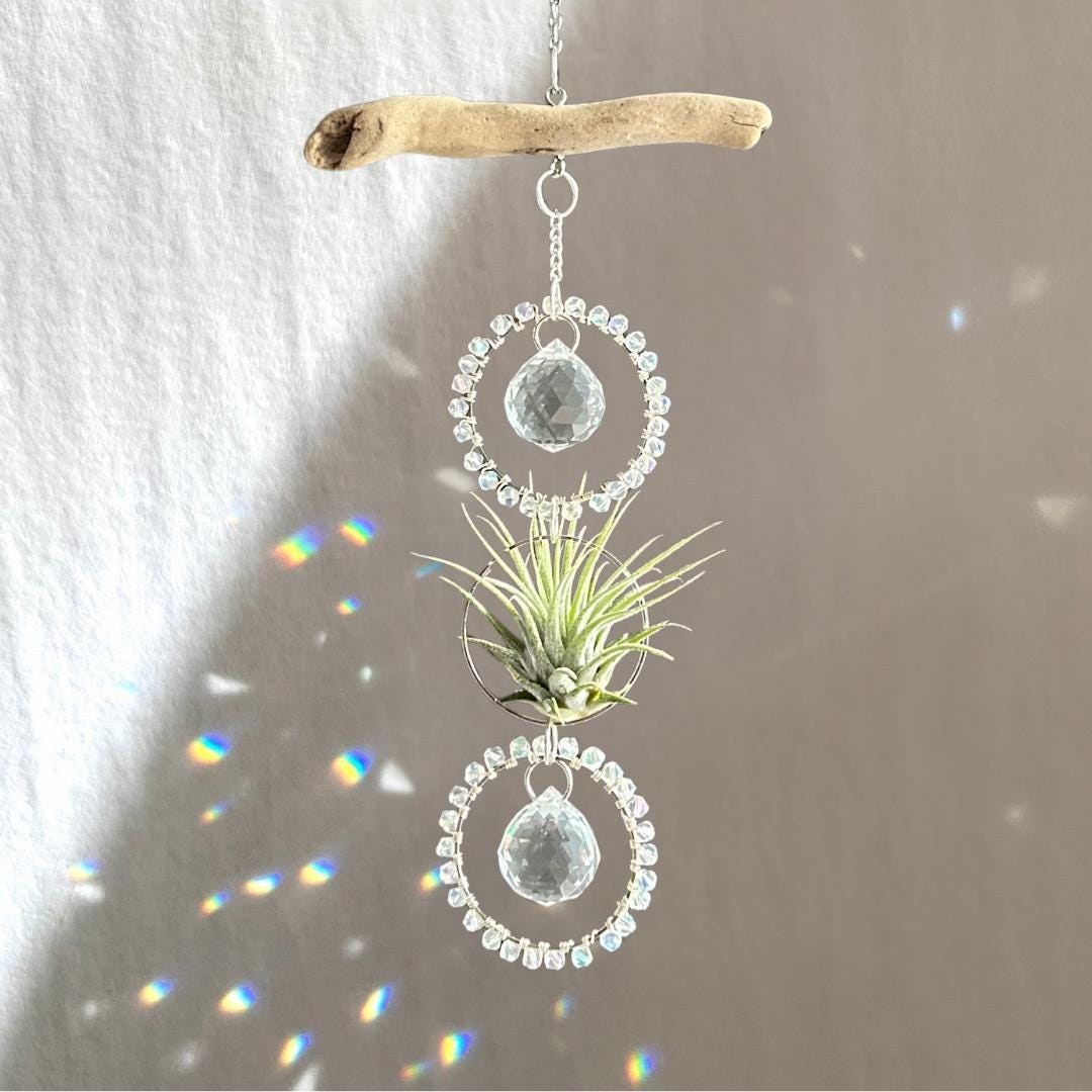 Driftwood & Air Plant Double Prism Suncatcher