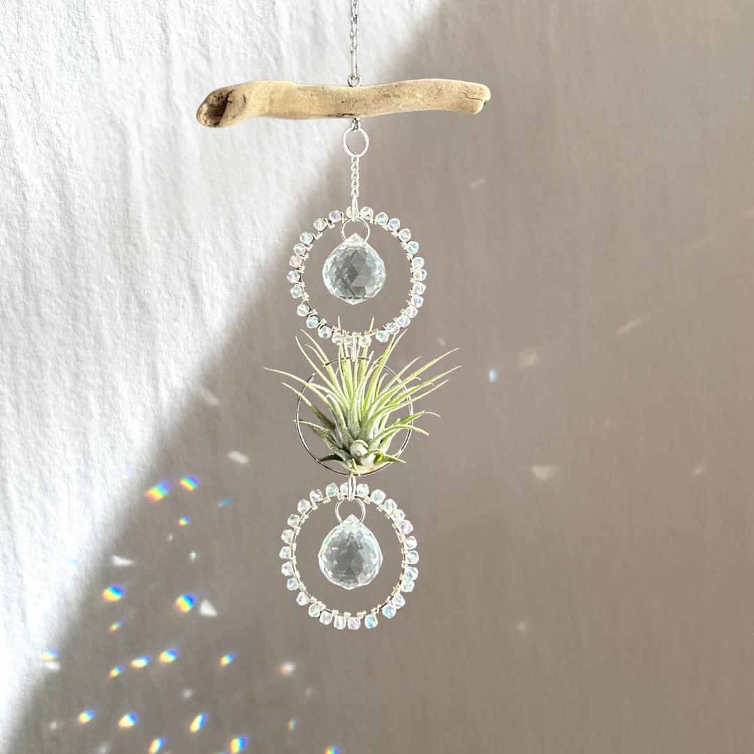 Driftwood & Air Plant Double Prism Suncatcher