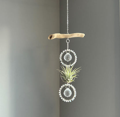 Driftwood & Air Plant Double Prism Suncatcher