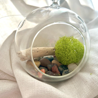 Hanging Air Plant Globe Terrarium - Driftwood and Beach Pebbles