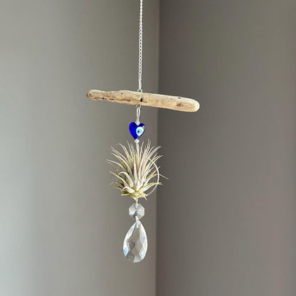 Evil Eye & Driftwood Air Plant Prism Suncatcher