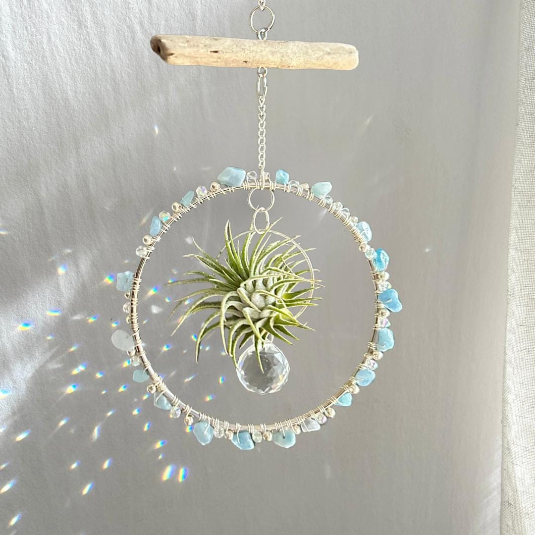 Aquamarine, Driftwood & Air Plant Prism Suncatcher