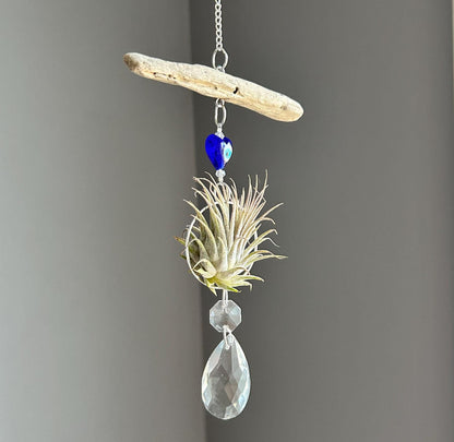 Evil Eye & Driftwood Air Plant Prism Suncatcher