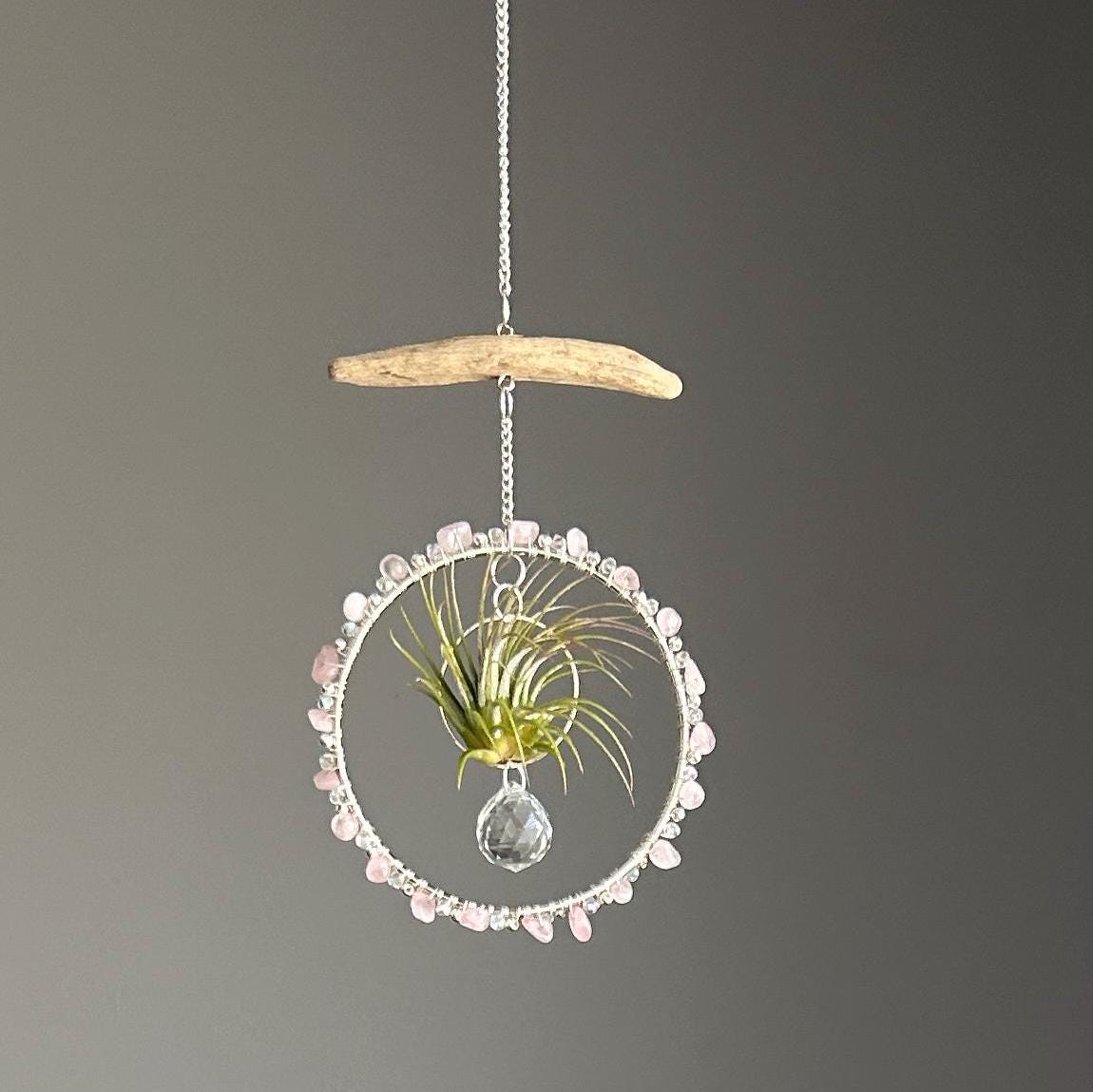 Rose Quartz, Driftwood & Air Plant Prism Suncatcher