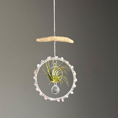 Rose Quartz, Driftwood & Air Plant Prism Suncatcher