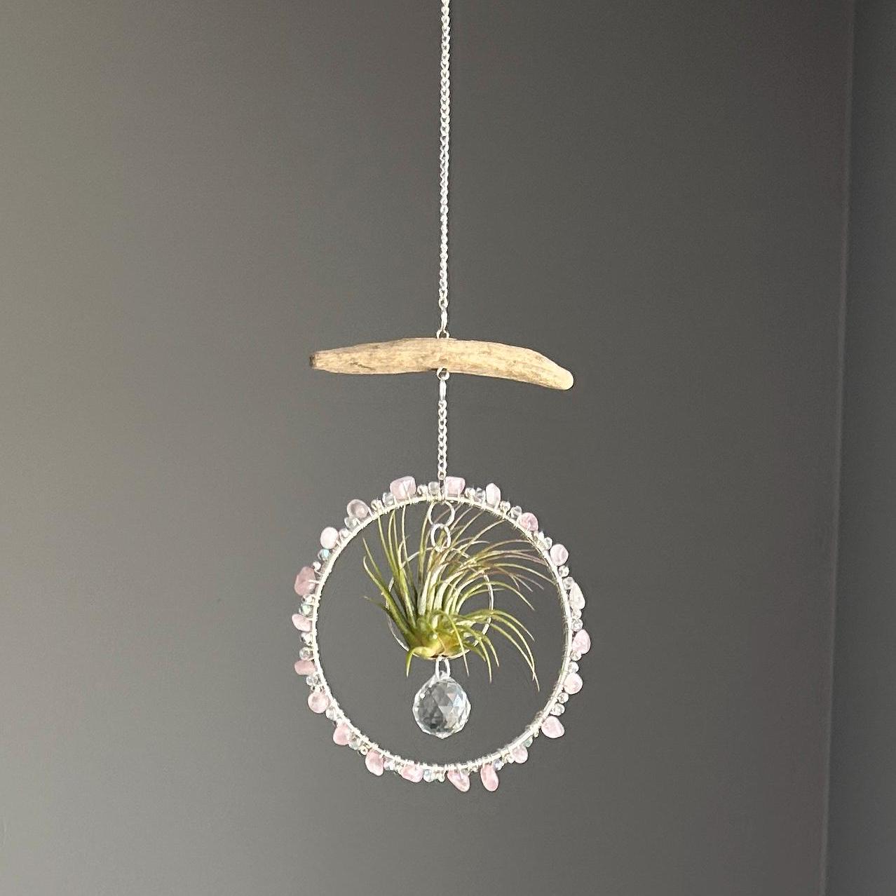 Rose Quartz, Driftwood & Air Plant Prism Suncatcher