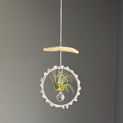 Rose Quartz, Driftwood & Air Plant Prism Suncatcher