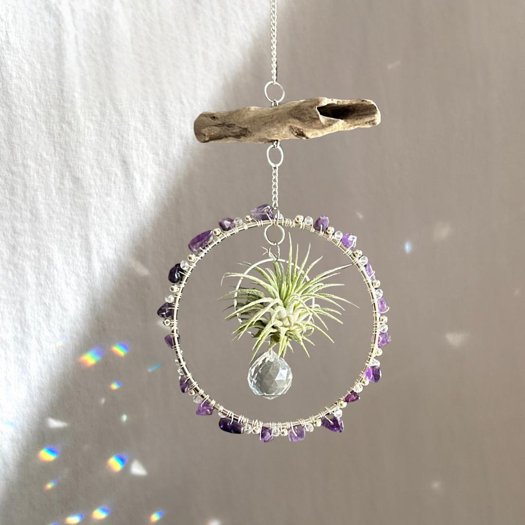 Amethyst, Driftwood & Air Plant Prism Suncatcher