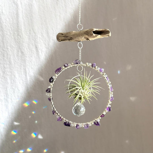 Amethyst, Driftwood & Air Plant Prism Suncatcher