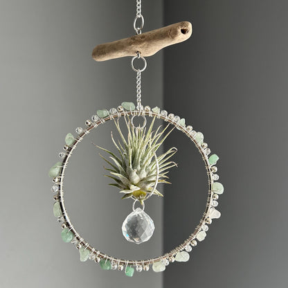 Aventurine, Driftwood & Air Plant Prism Suncatcher