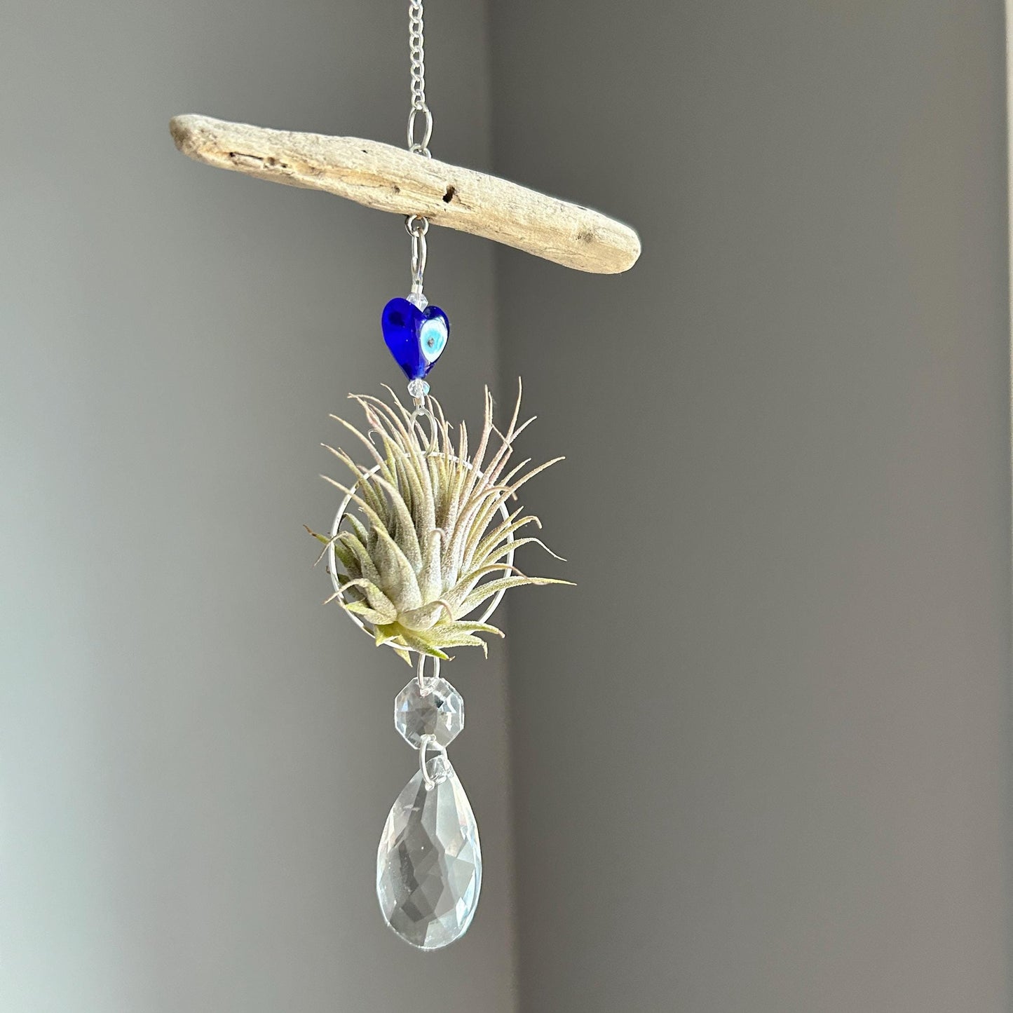 Evil Eye & Driftwood Air Plant Prism Suncatcher