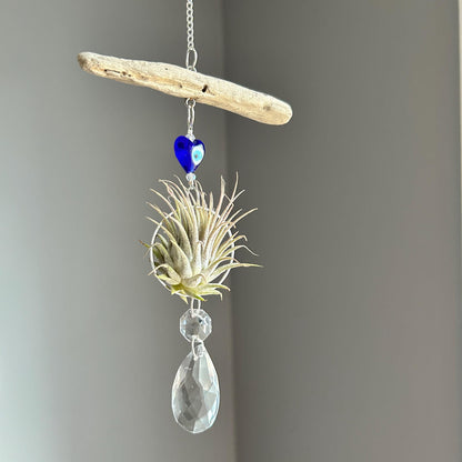 Evil Eye & Driftwood Air Plant Prism Suncatcher