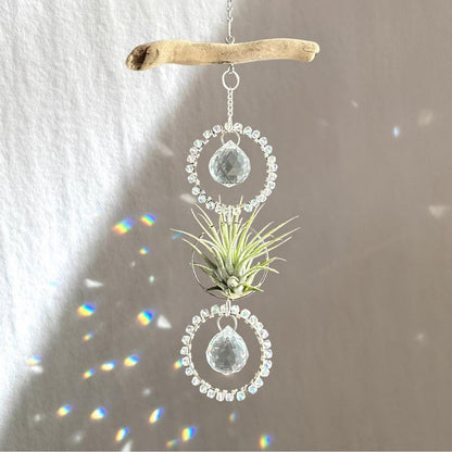 Driftwood & Air Plant Double Prism Suncatcher