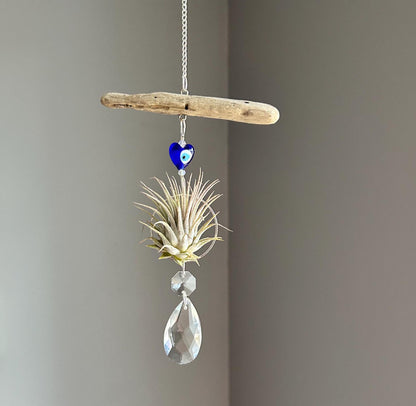 Evil Eye & Driftwood Air Plant Prism Suncatcher