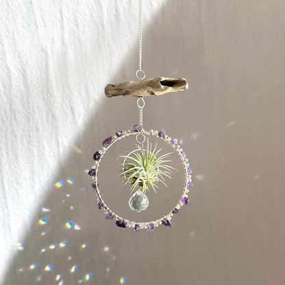 Amethyst, Driftwood & Air Plant Prism Suncatcher