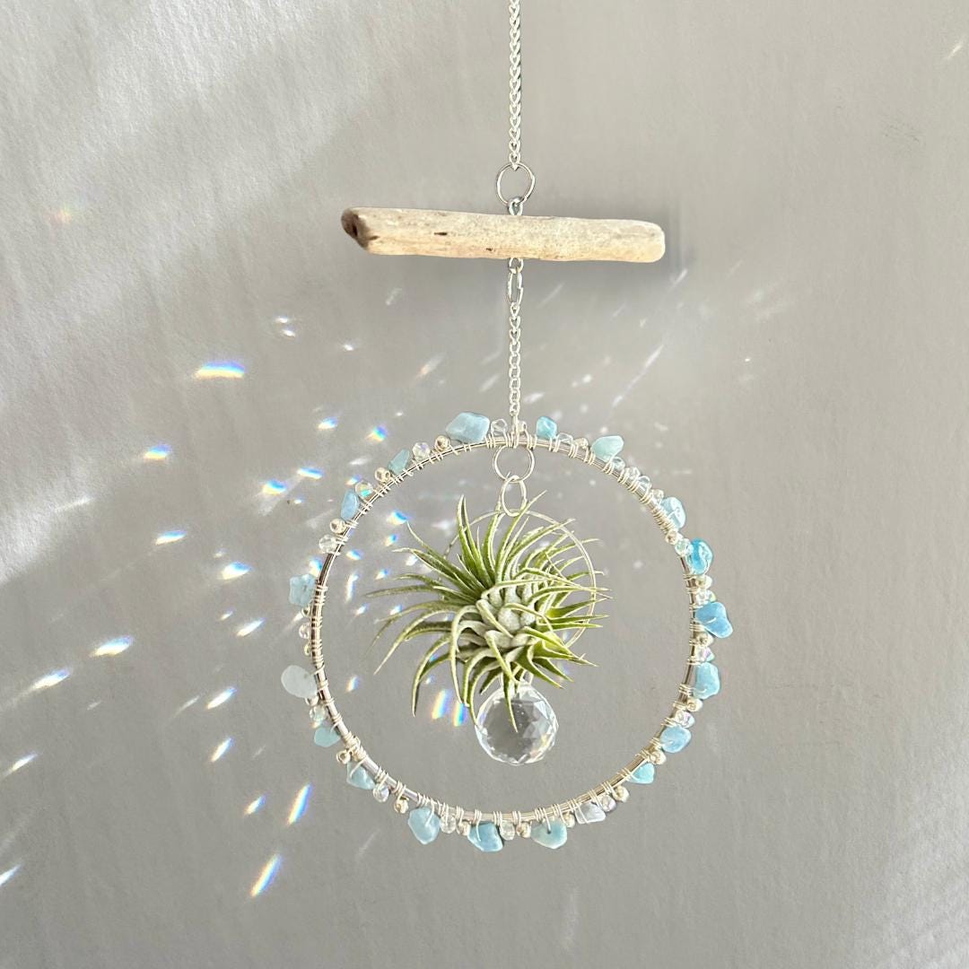Aquamarine, Driftwood & Air Plant Prism Suncatcher