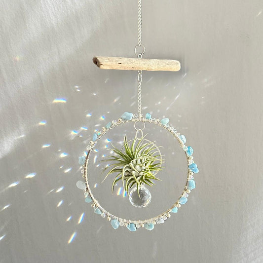 Aquamarine, Driftwood & Air Plant Prism Suncatcher