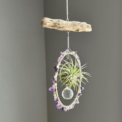 Amethyst, Driftwood & Air Plant Prism Suncatcher