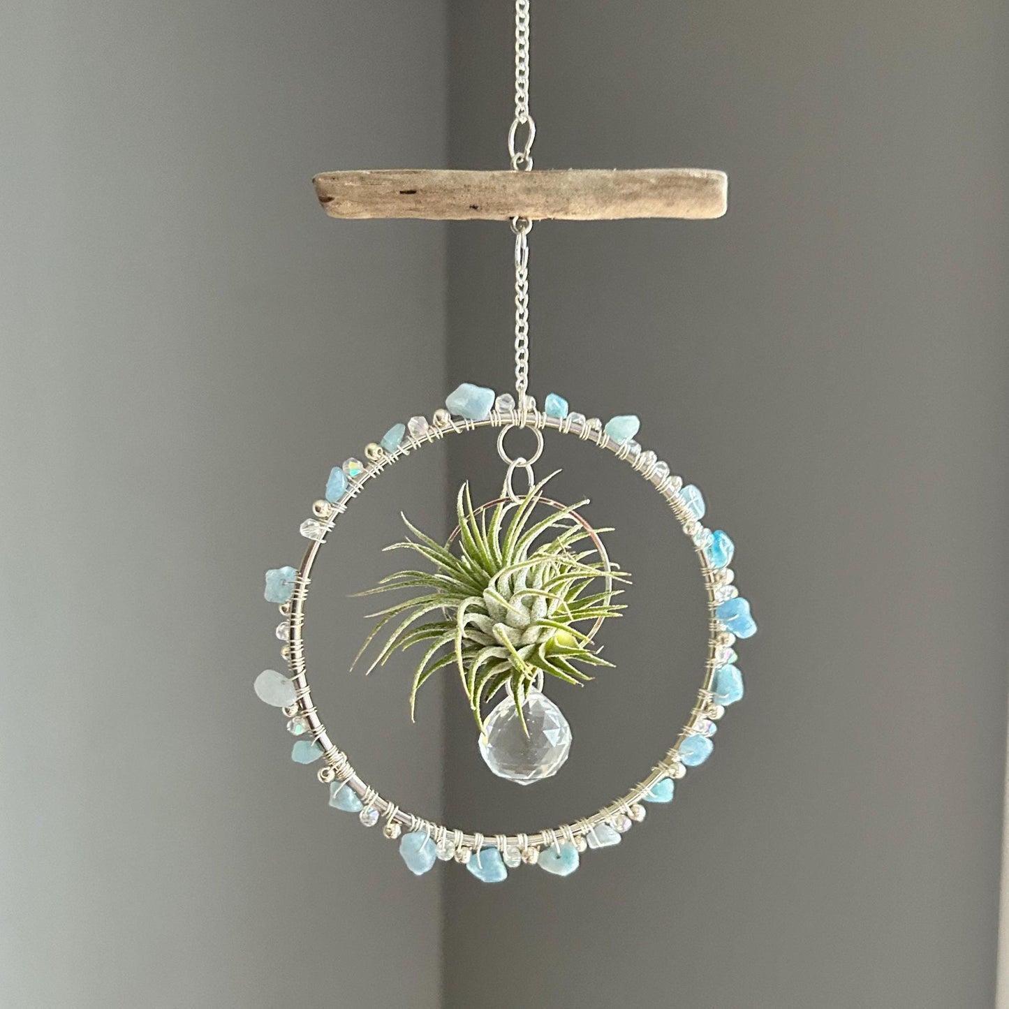 Aquamarine, Driftwood & Air Plant Prism Suncatcher
