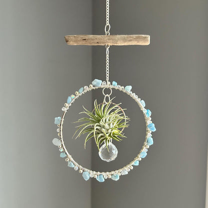 Aquamarine, Driftwood & Air Plant Prism Suncatcher