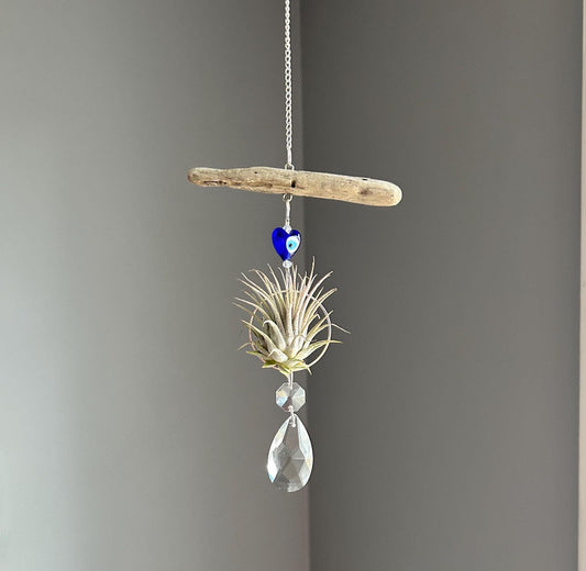 Evil Eye & Driftwood Air Plant Prism Suncatcher