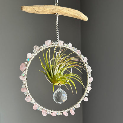 Rose Quartz, Driftwood & Air Plant Prism Suncatcher