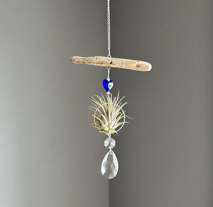 Evil Eye & Driftwood Air Plant Prism Suncatcher