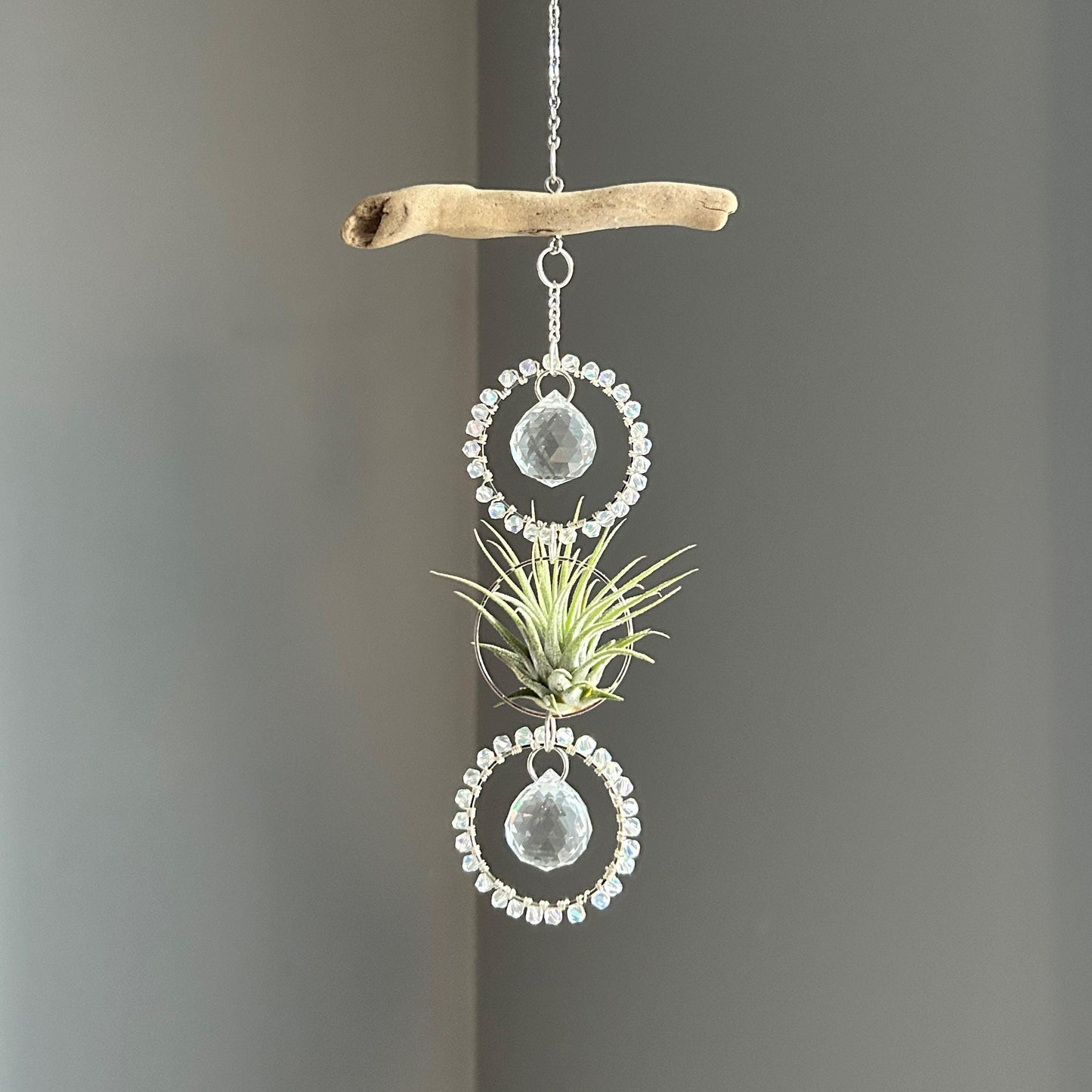 Driftwood & Air Plant Double Prism Suncatcher