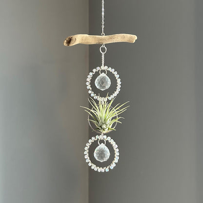 Driftwood & Air Plant Double Prism Suncatcher