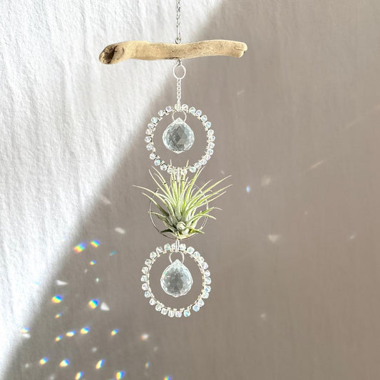 Driftwood & Air Plant Double Prism Suncatcher
