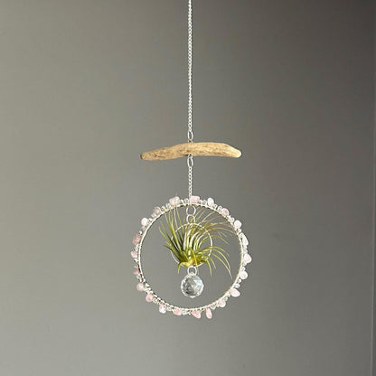 Rose Quartz, Driftwood & Air Plant Prism Suncatcher