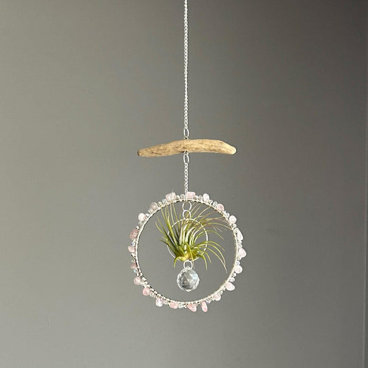 Rose Quartz, Driftwood & Air Plant Prism Suncatcher