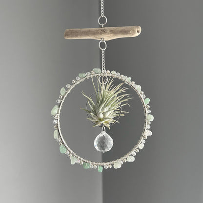 Aventurine, Driftwood & Air Plant Prism Suncatcher