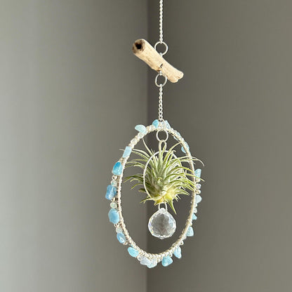 Aquamarine, Driftwood & Air Plant Prism Suncatcher